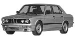 BMW E28 P1966 Fault Code